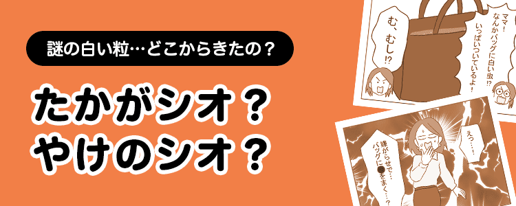 【たかがシオ？やけのシオ？】バナー
